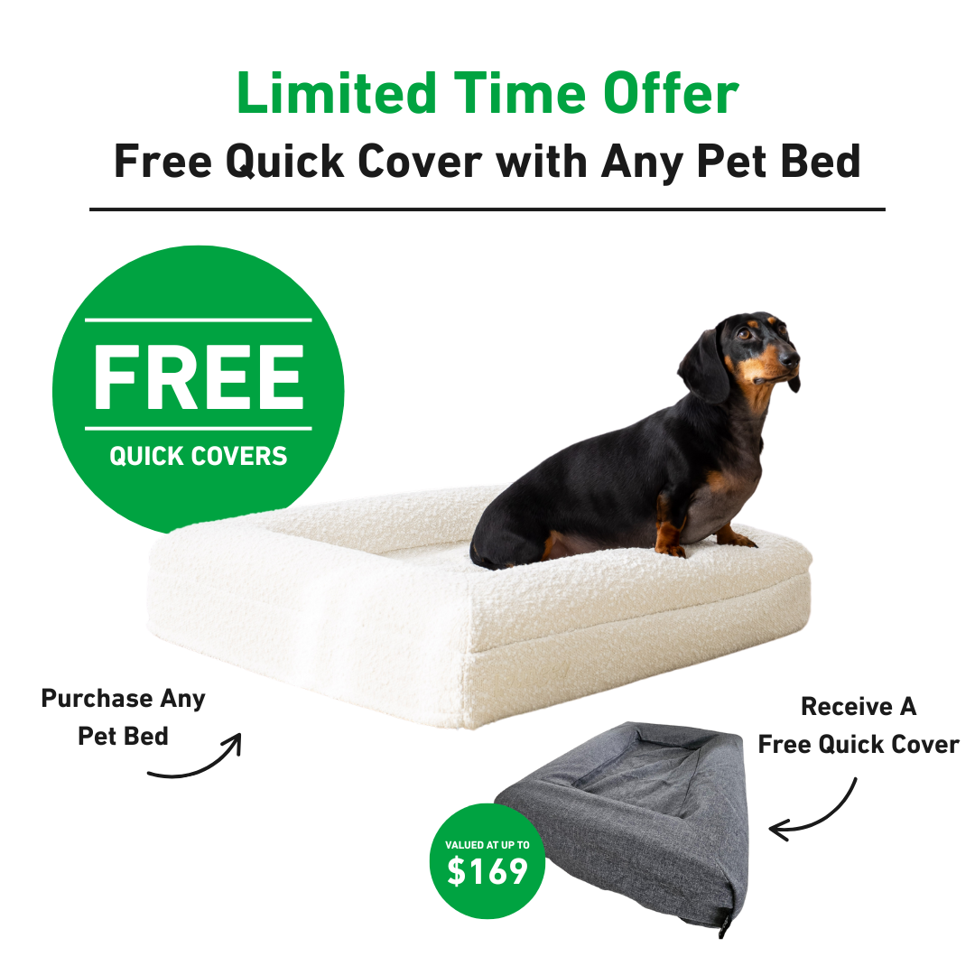Dog Bed Boucle'