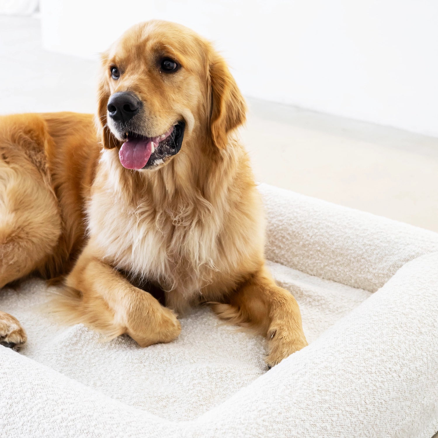 Dog Bed Cover - Boucle'