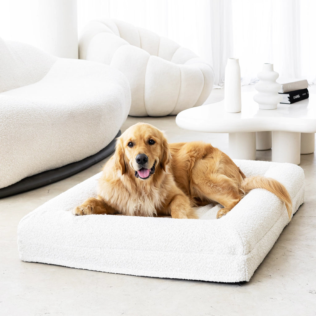 Dog Bed Boucle