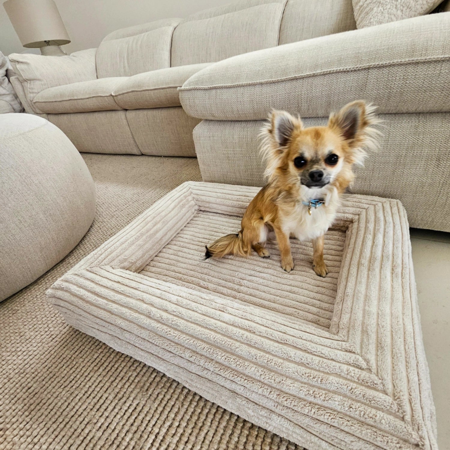 Dog Bed Corduroy