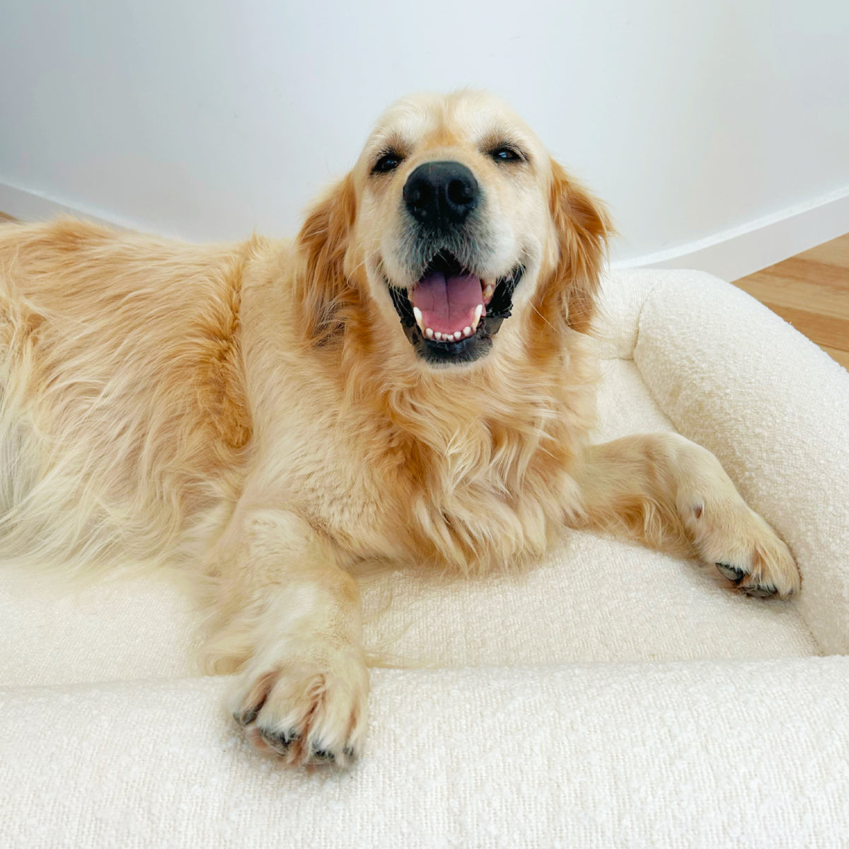 Dog Bed Cover - Boucle'